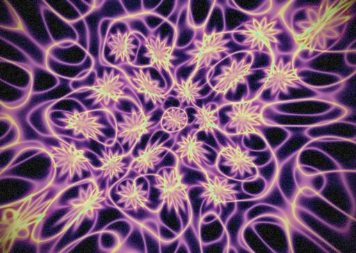 Mathematical Cosmos