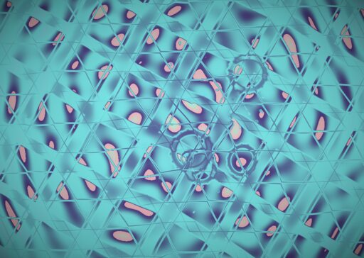 Ornament Physics Cosmology Engine